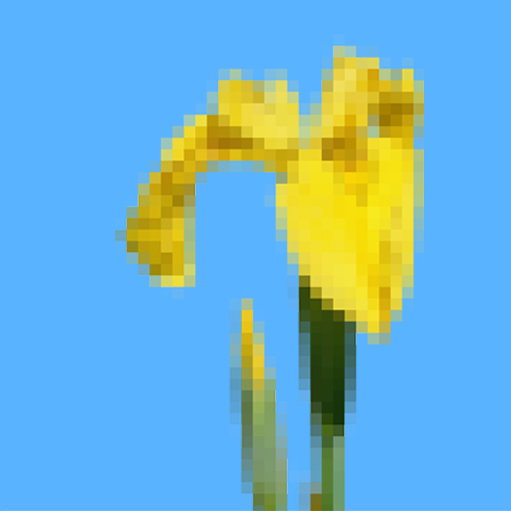 Iris pixel icon